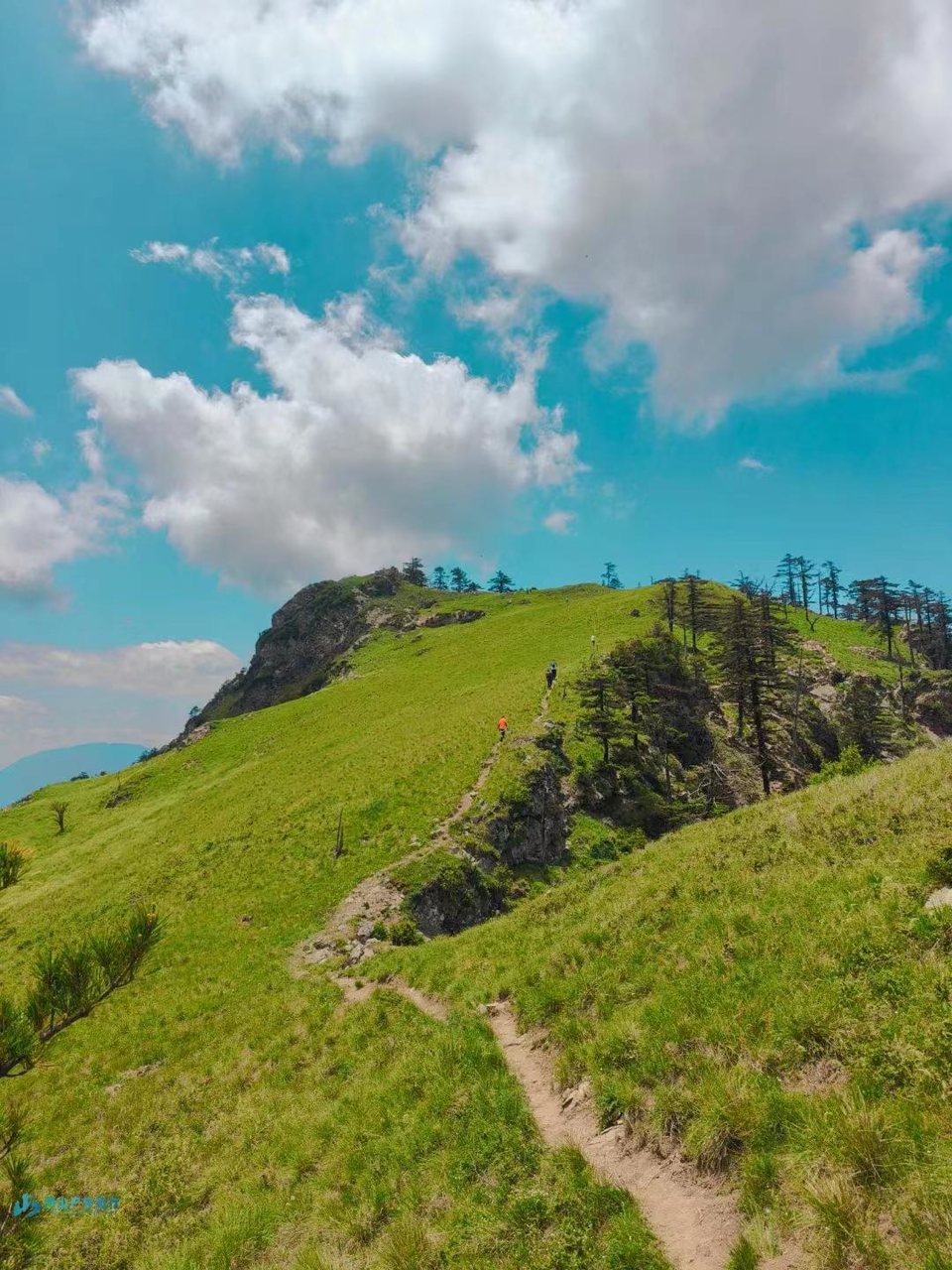 mmexport1718150981008