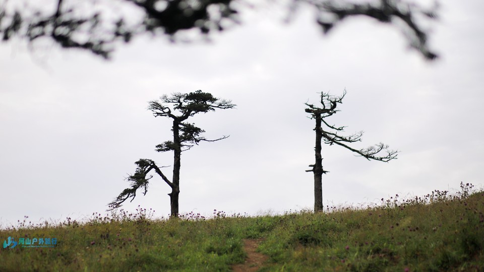 mmexport1723610659971