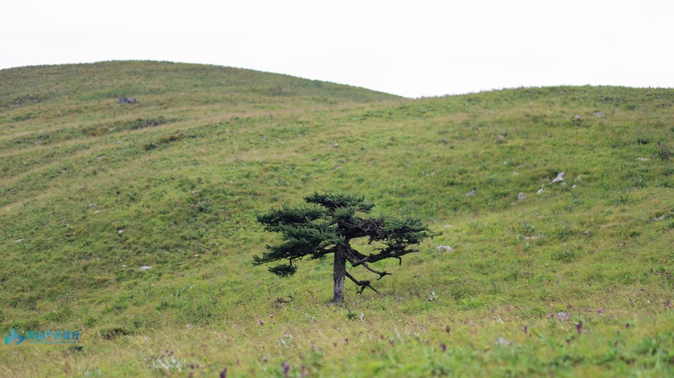 mmexport1723610732283