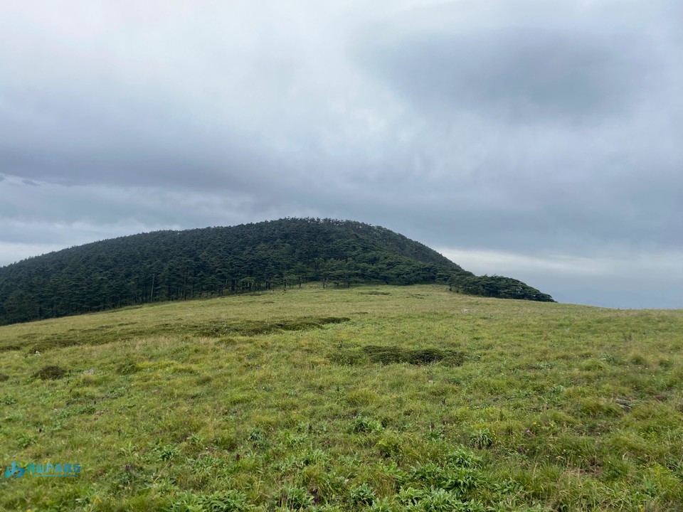 mmexport1723610826854