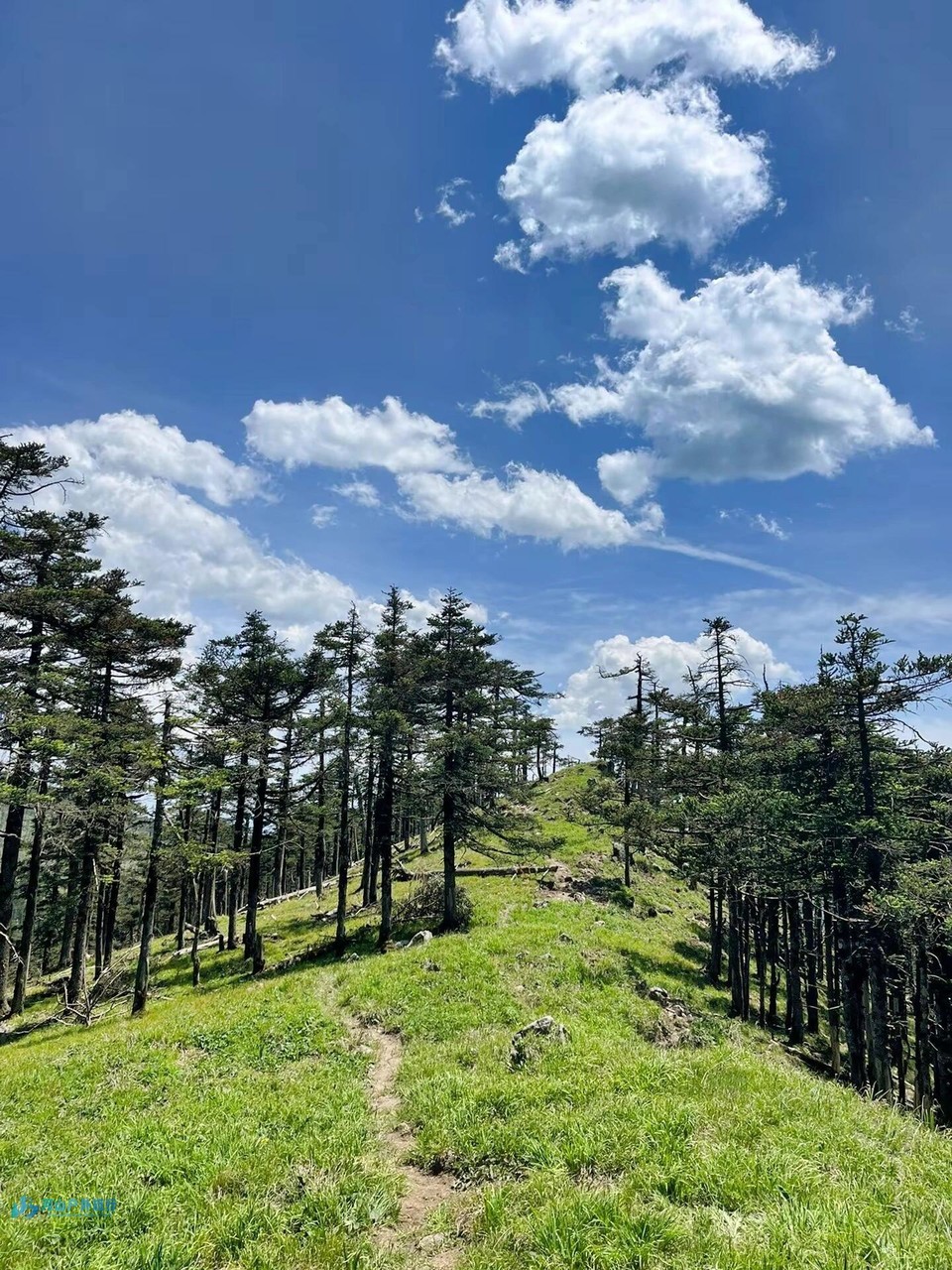 微信图片_20240323005049