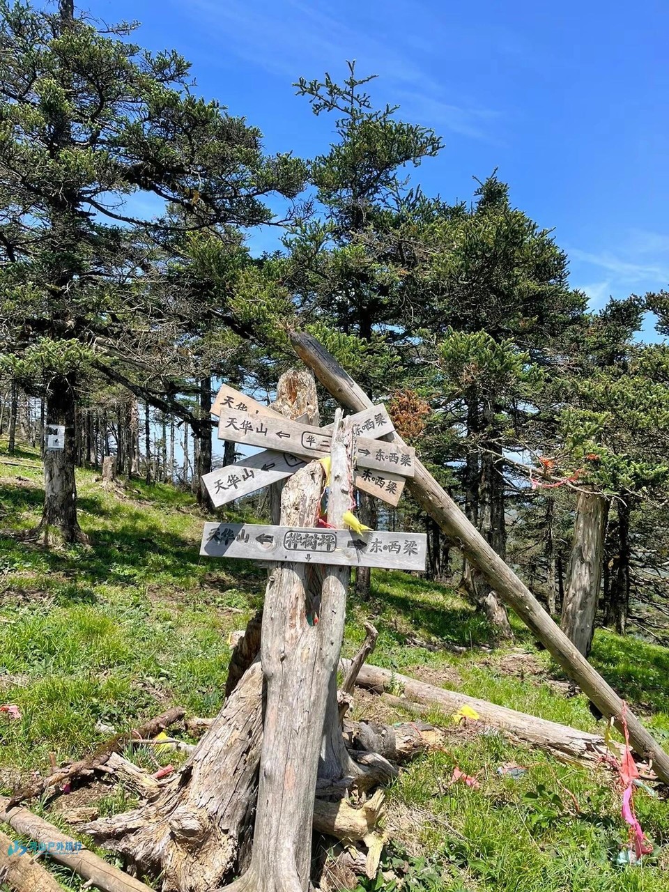 微信图片_20240323005053