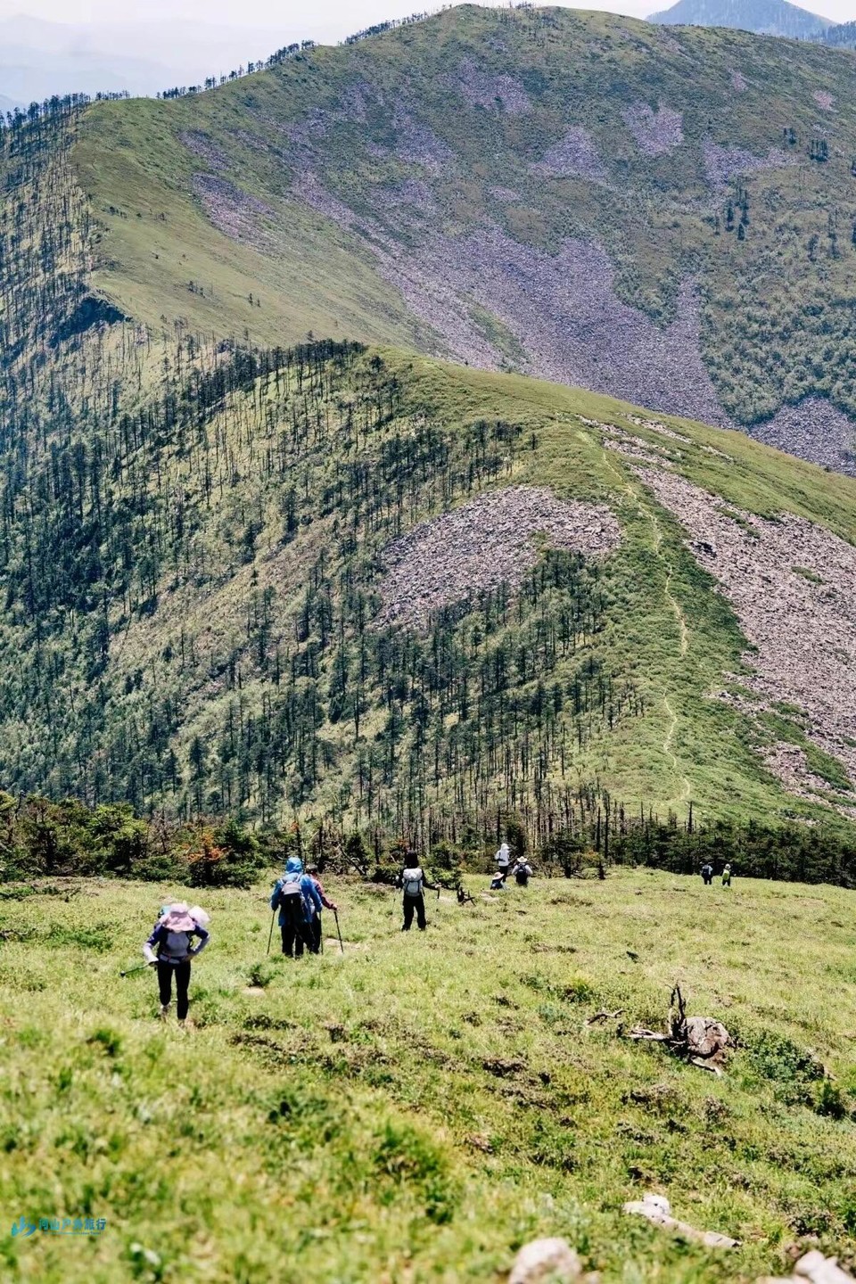 微信图片_20240323005101