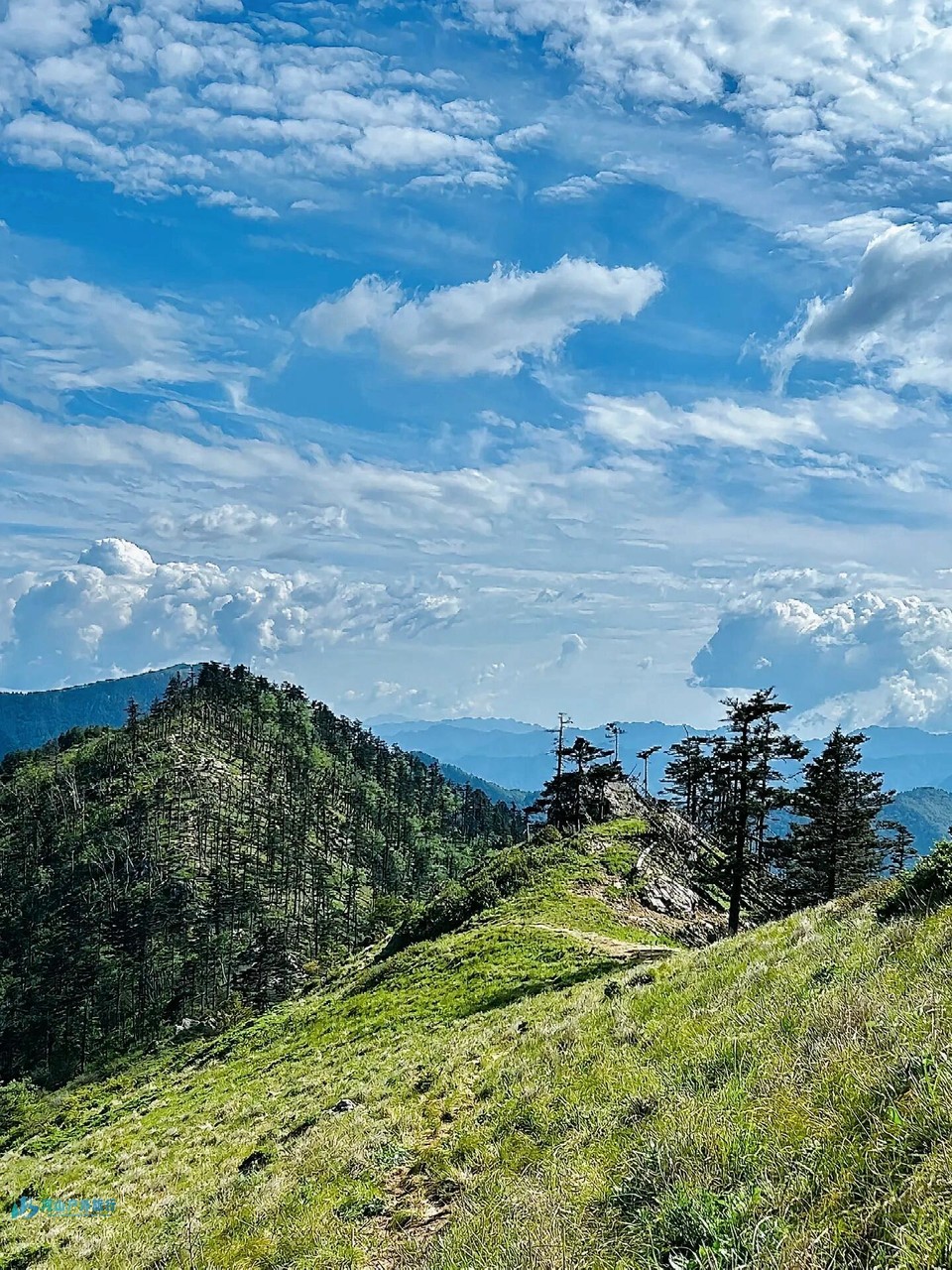 微信图片_20240323005109