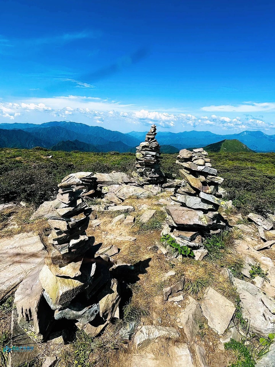 微信图片_20240323005118