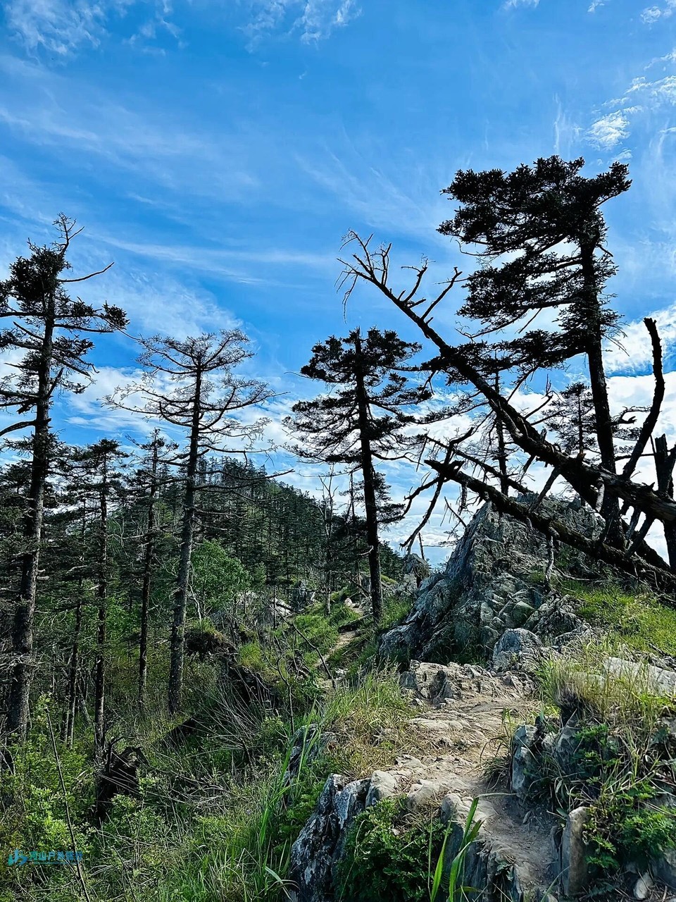 微信图片_20240323005122