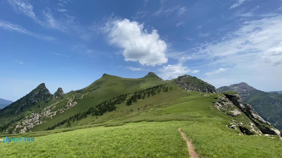 mmexport1715000589321