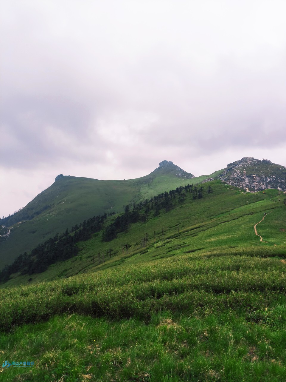 mmexport1718150558203