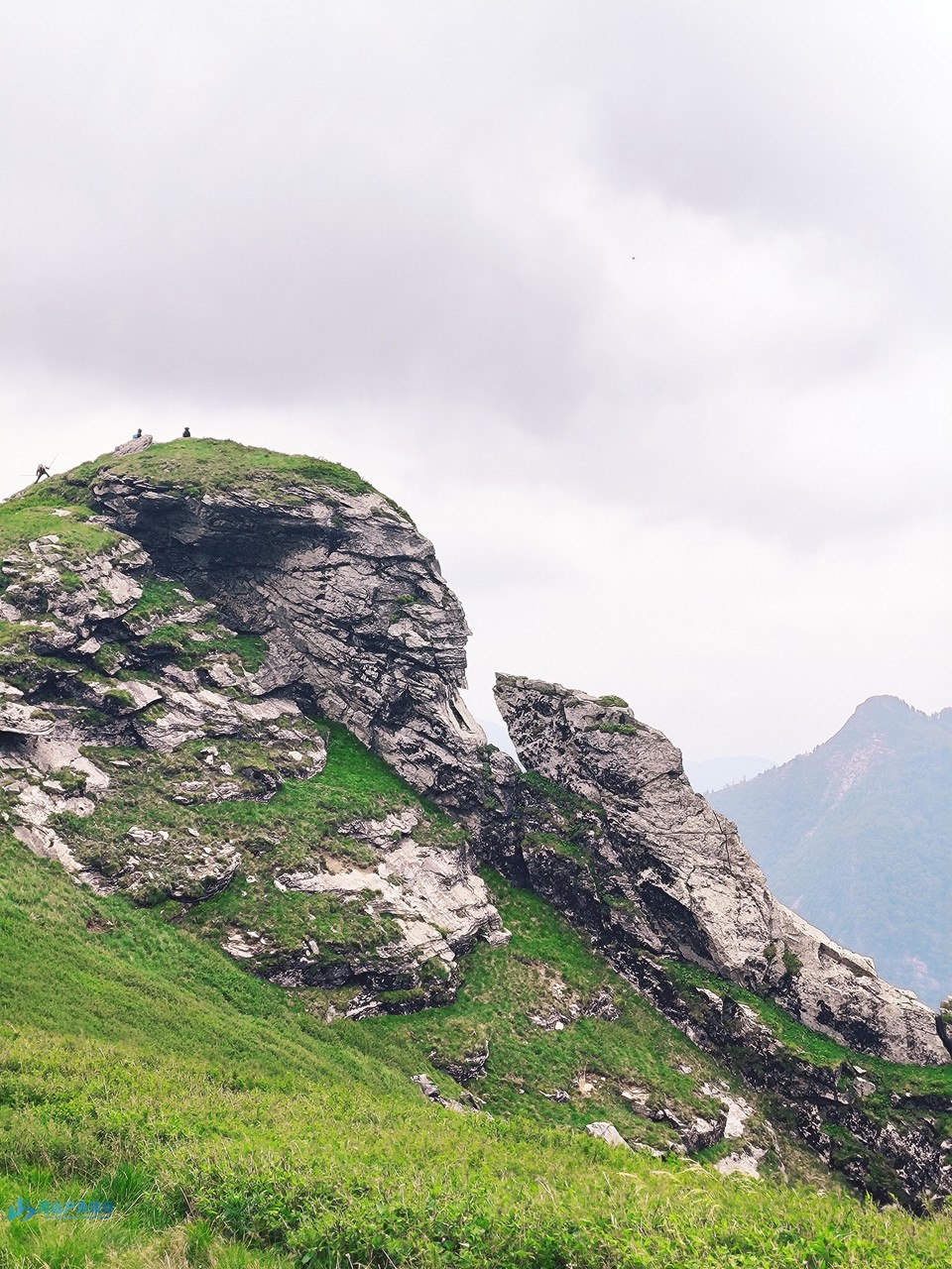 mmexport1718150568409