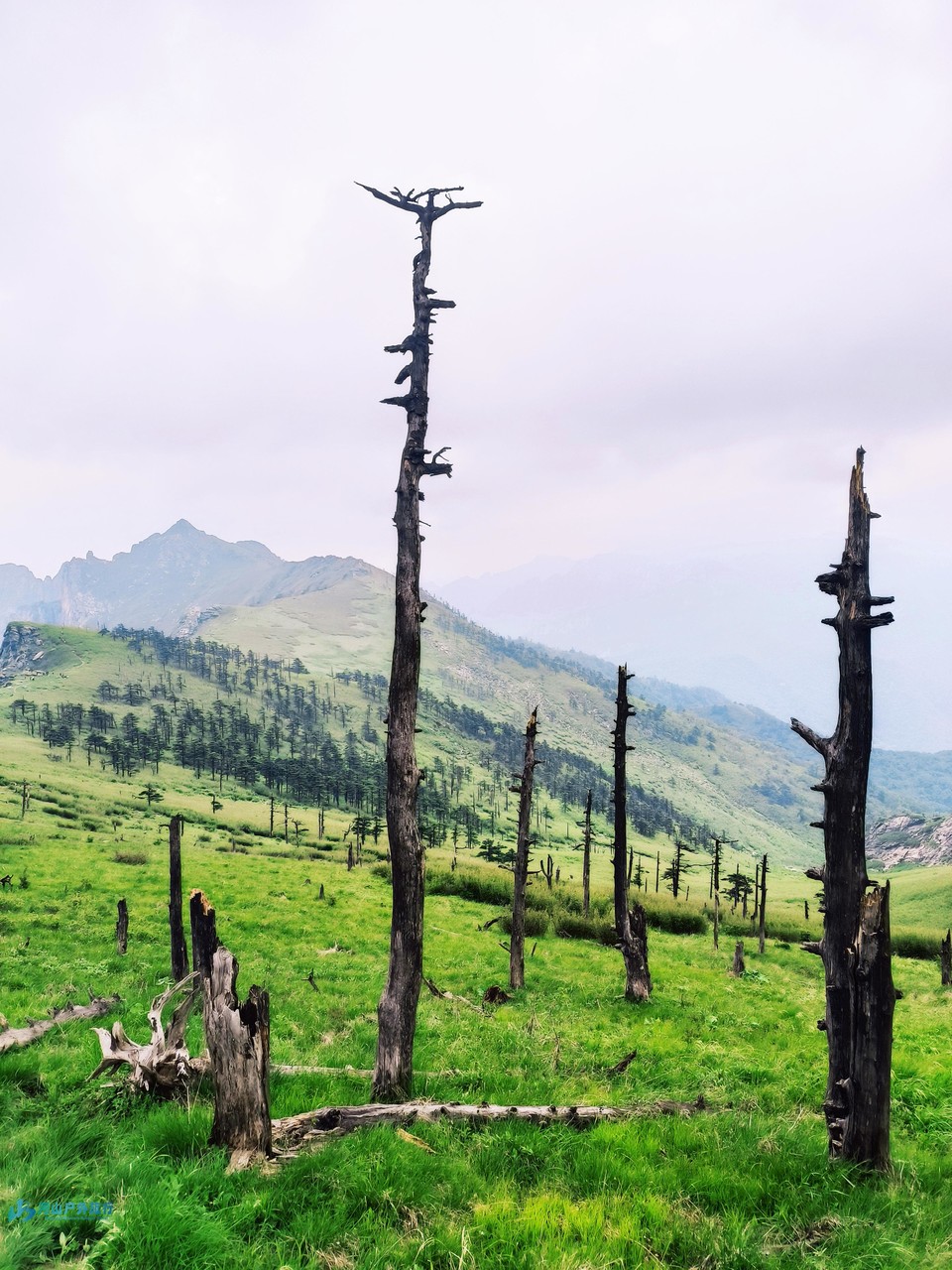 mmexport1718150586927