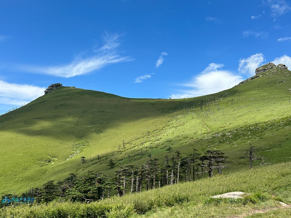 mmexport1718158704550