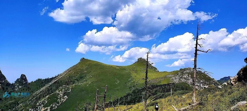 mmexport1719142155860