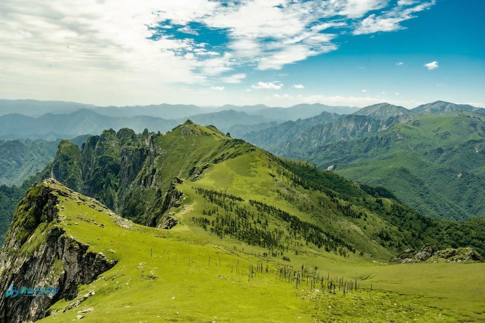 mmexport1719142180833