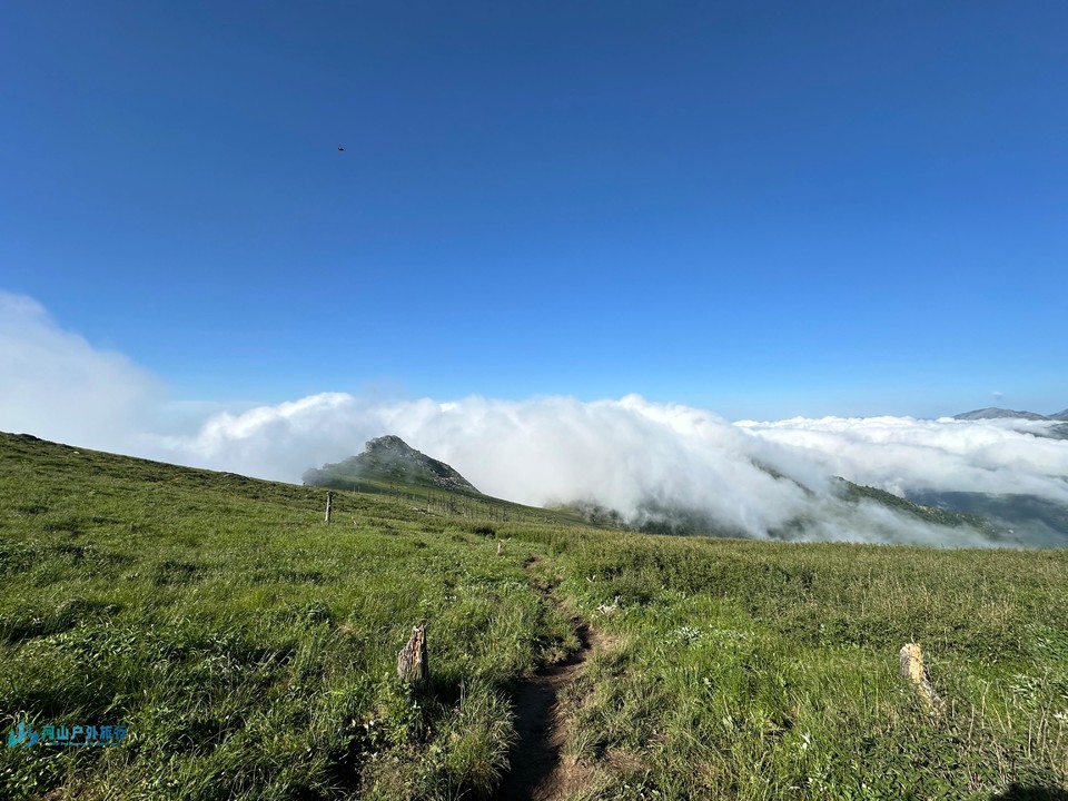 mmexport1719323948226