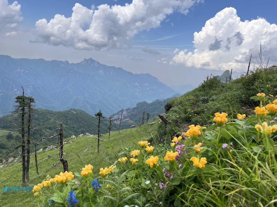 mmexport1719323987161