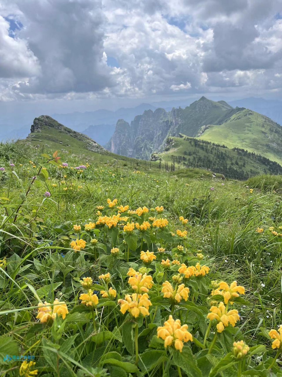 mmexport1719323994027