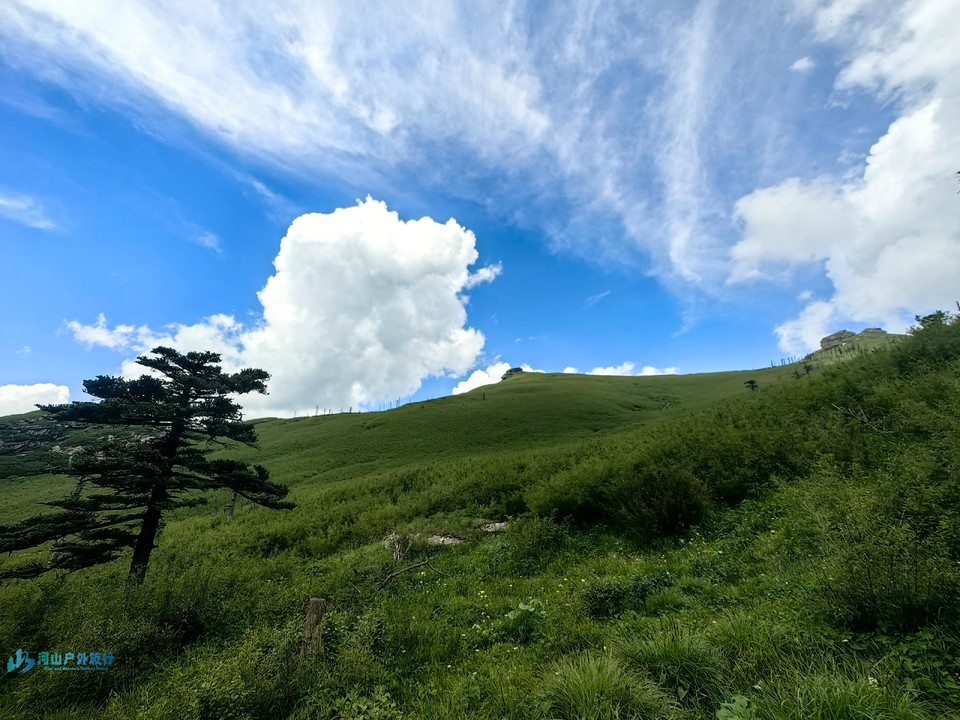 mmexport1719324094634