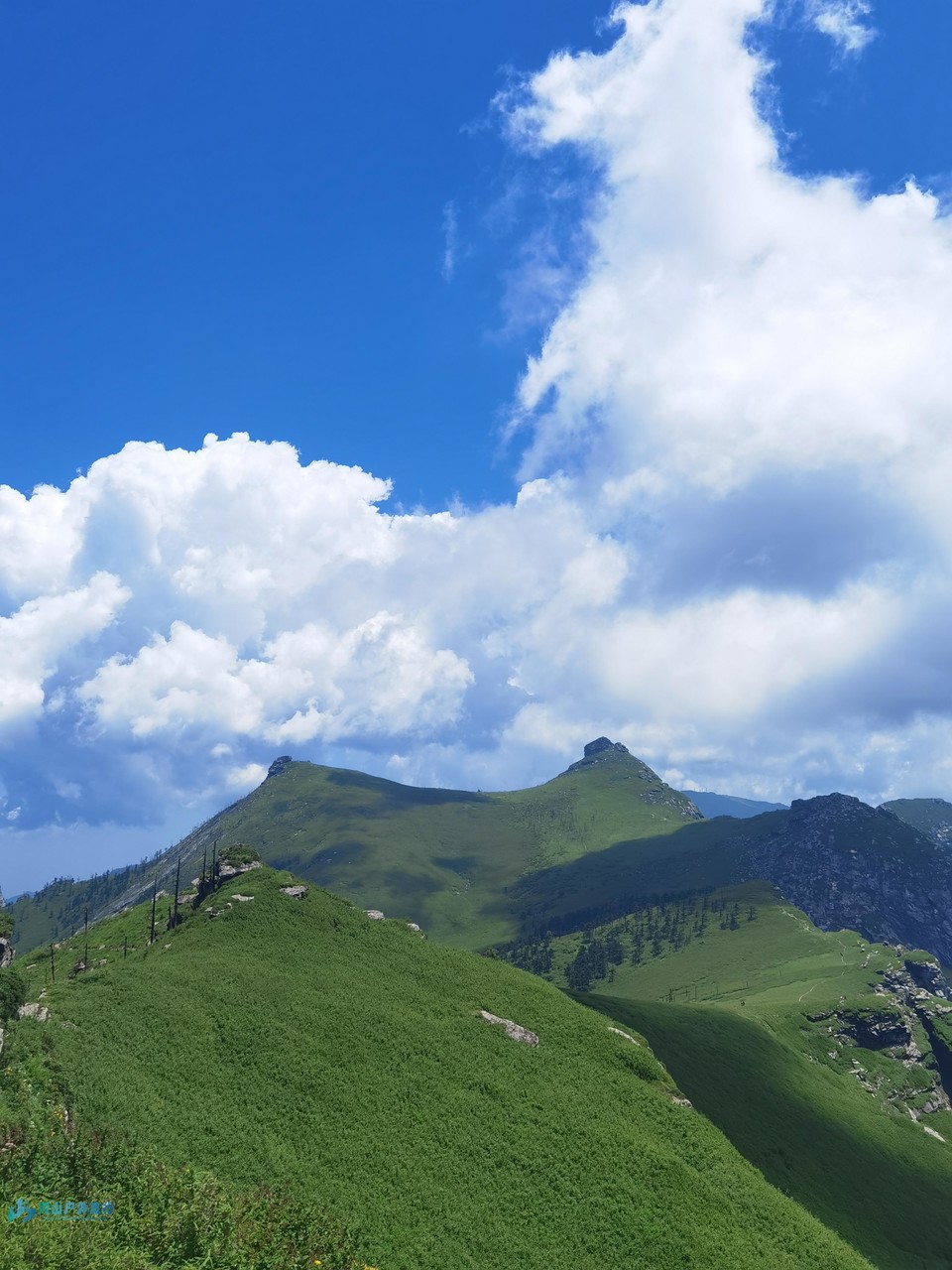 mmexport1719324111420