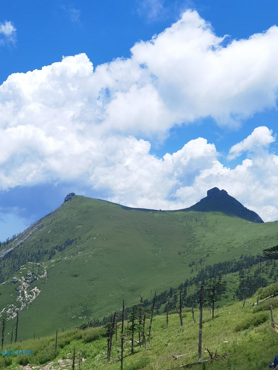 mmexport1719324116718