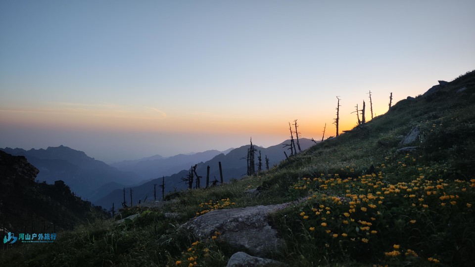 mmexport1719384419061