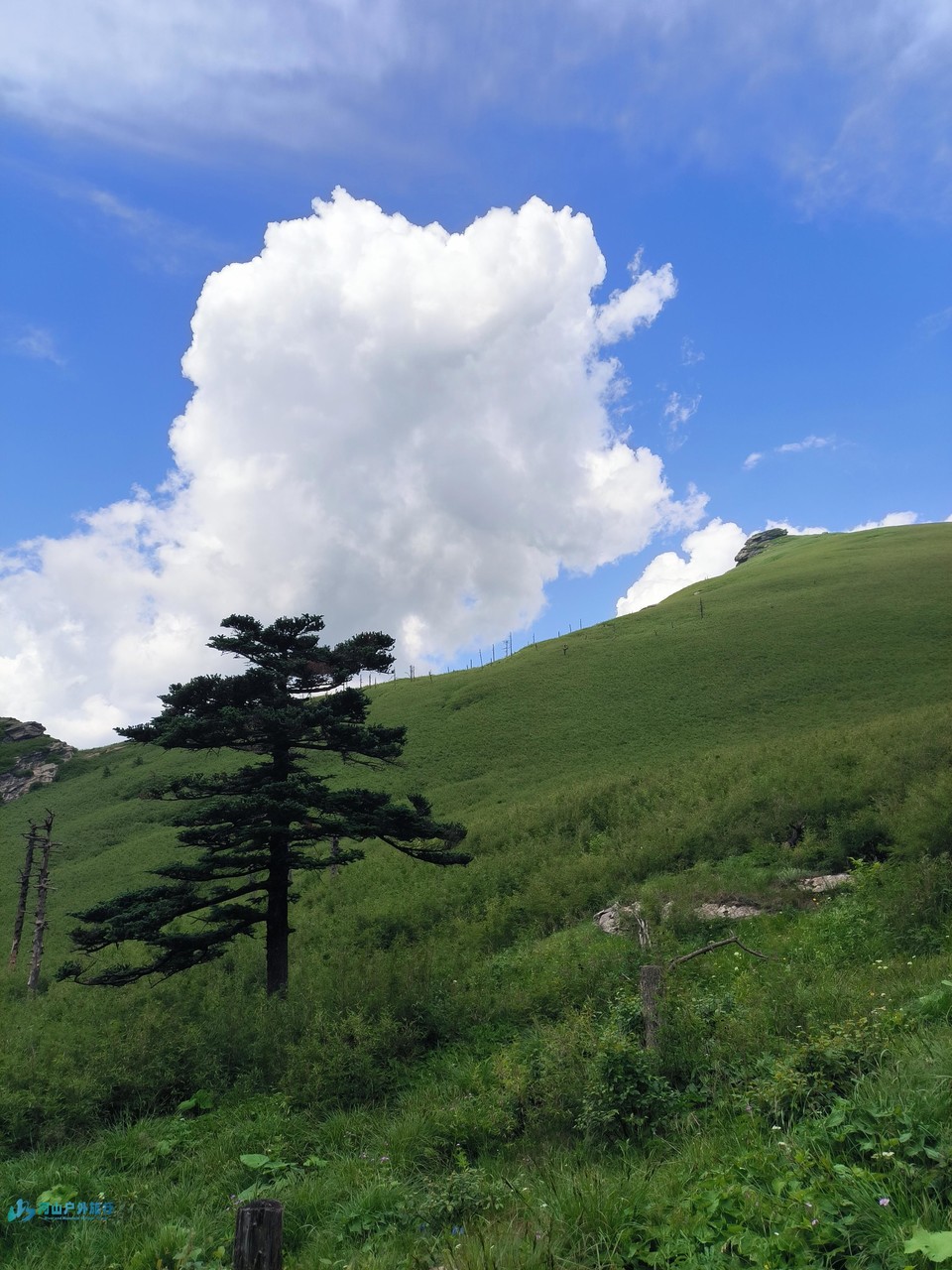 mmexport1719384448118