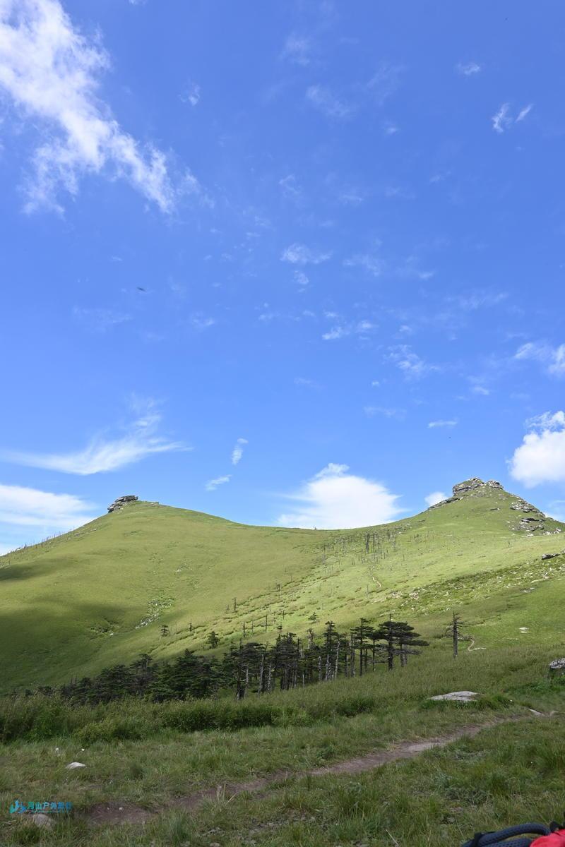 mmexport1718208318352