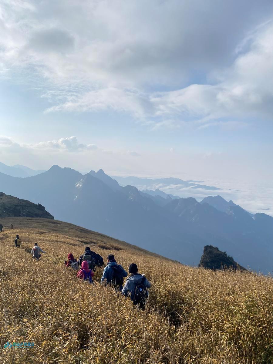 mmexport1714926080318