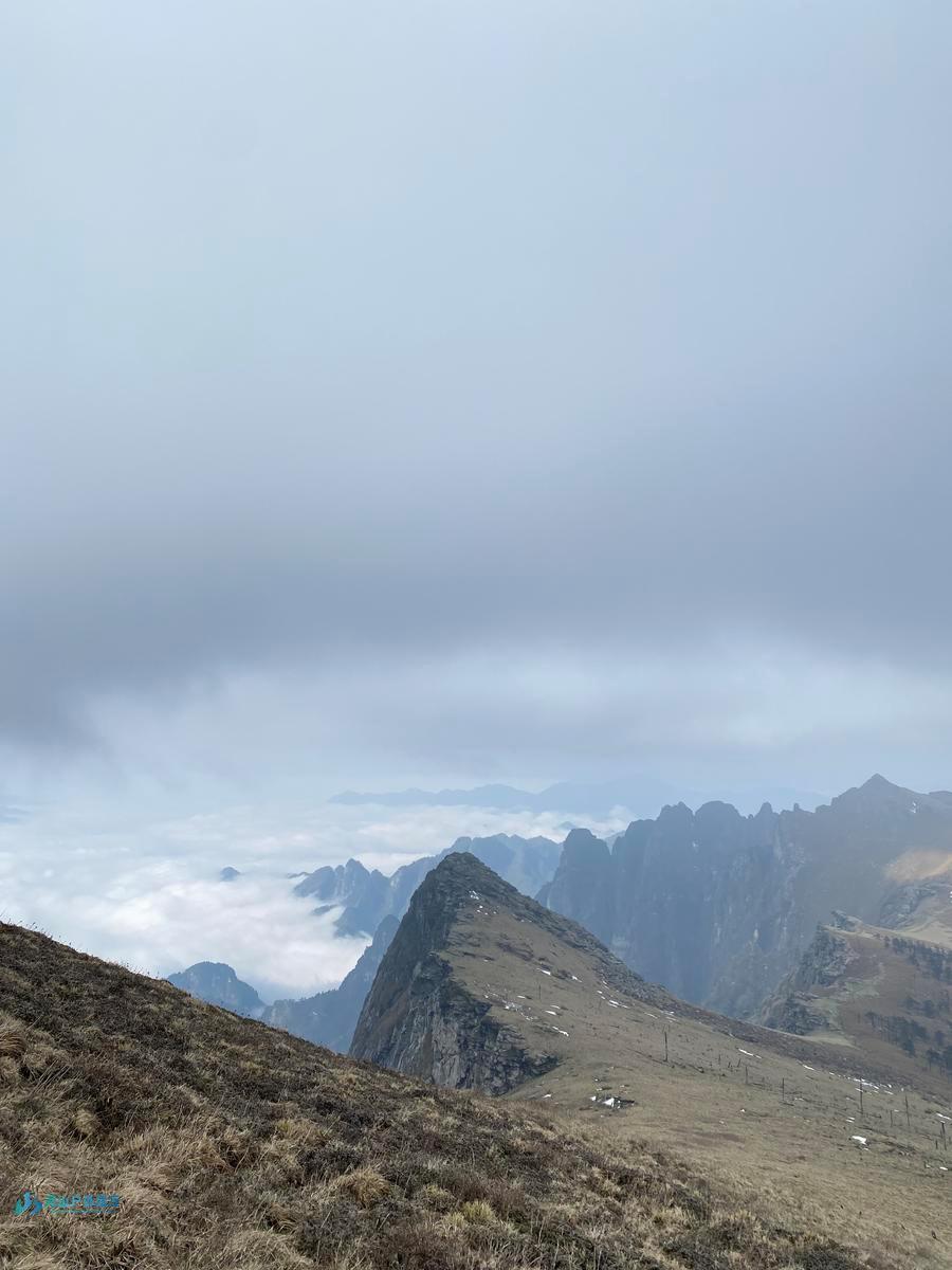 mmexport1714925994910