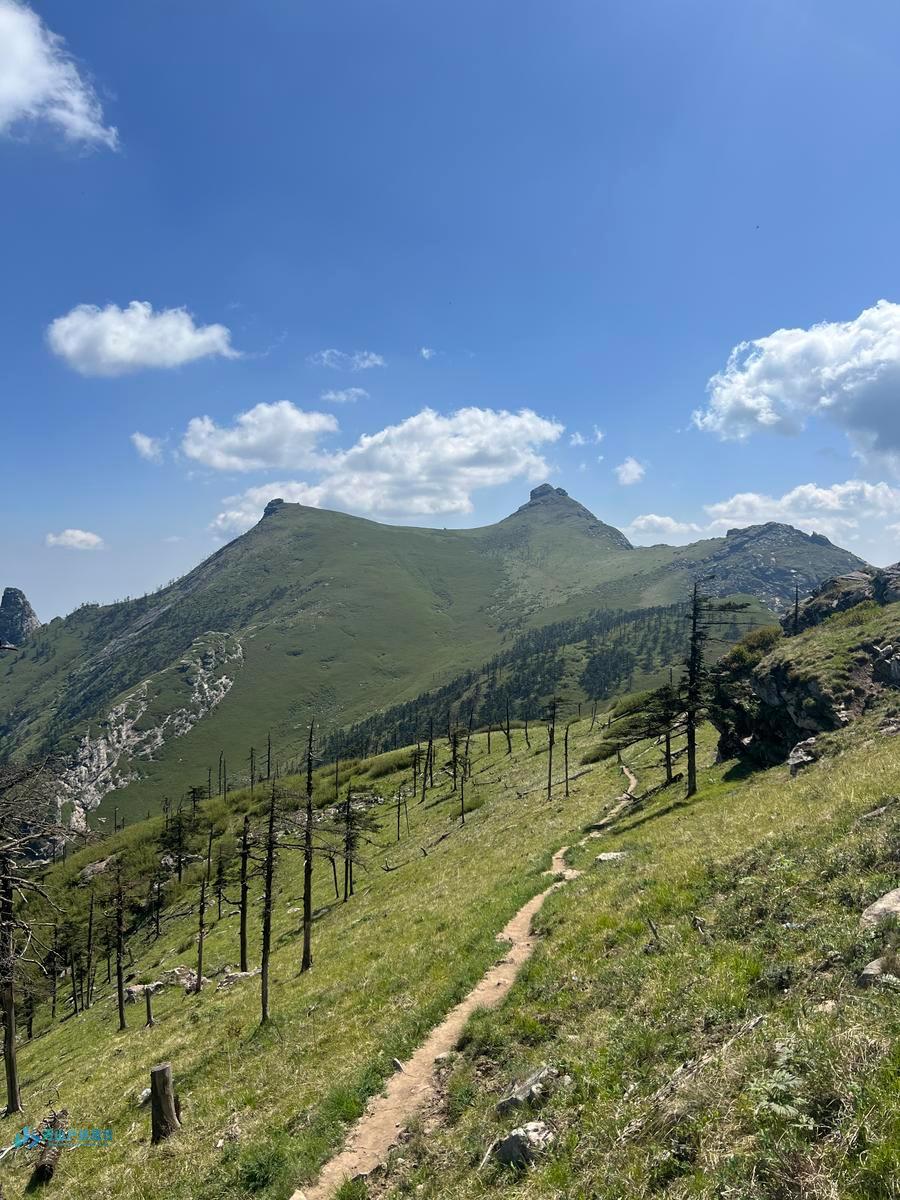 mmexport1717433021995