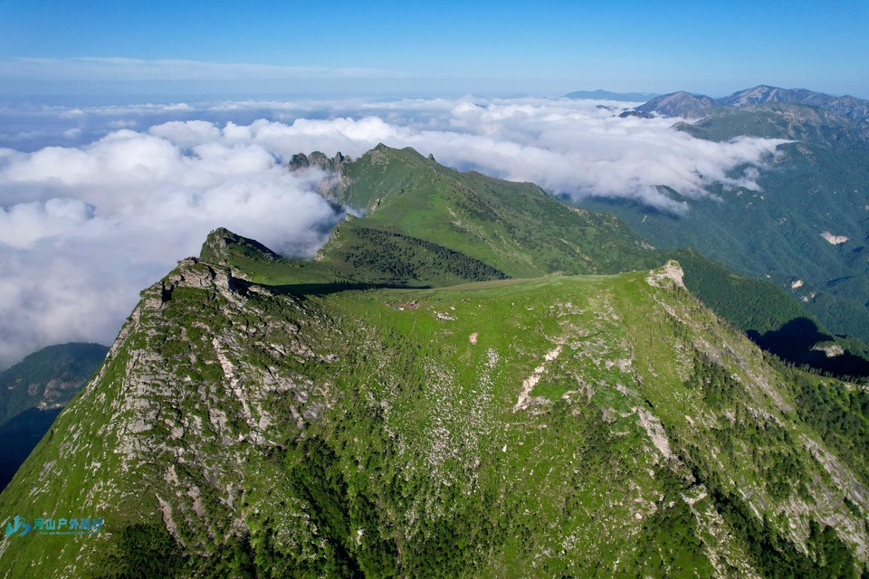 mmexport1719408851157