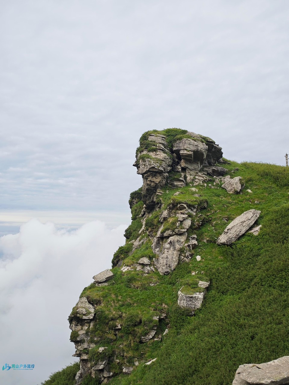 微信图片_20240618220947