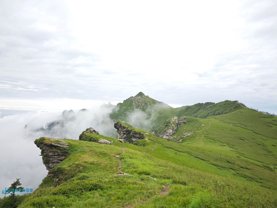 微信图片_20240618220951