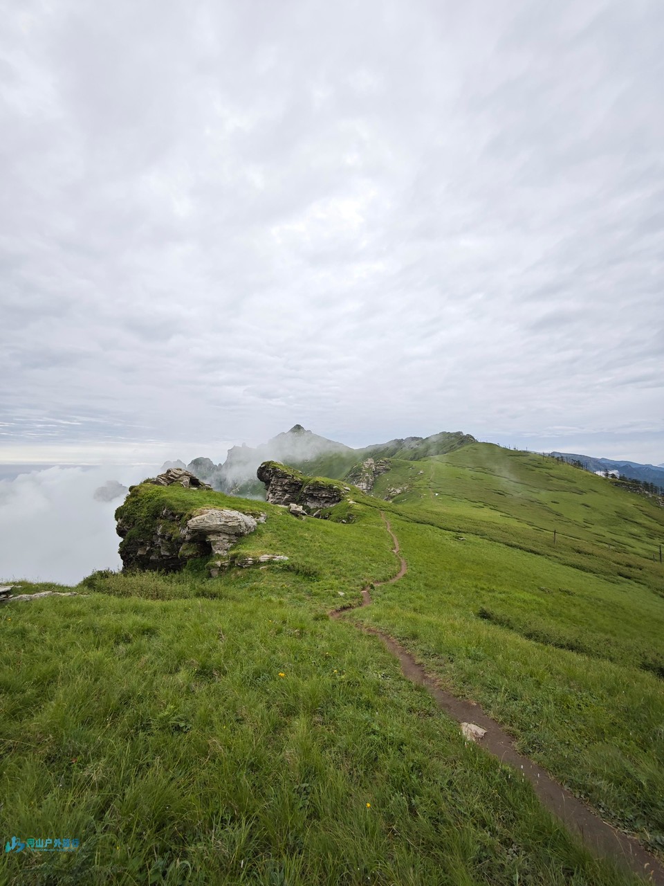 微信图片_20240618220957