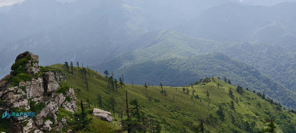 微信图片_20240618221503