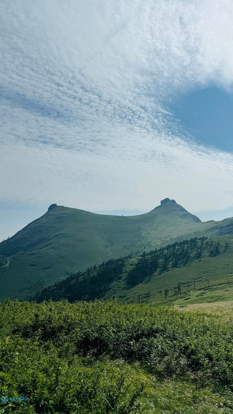 mmexport1720840775664