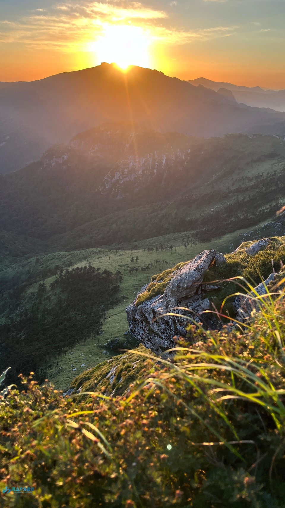 mmexport1722873426908