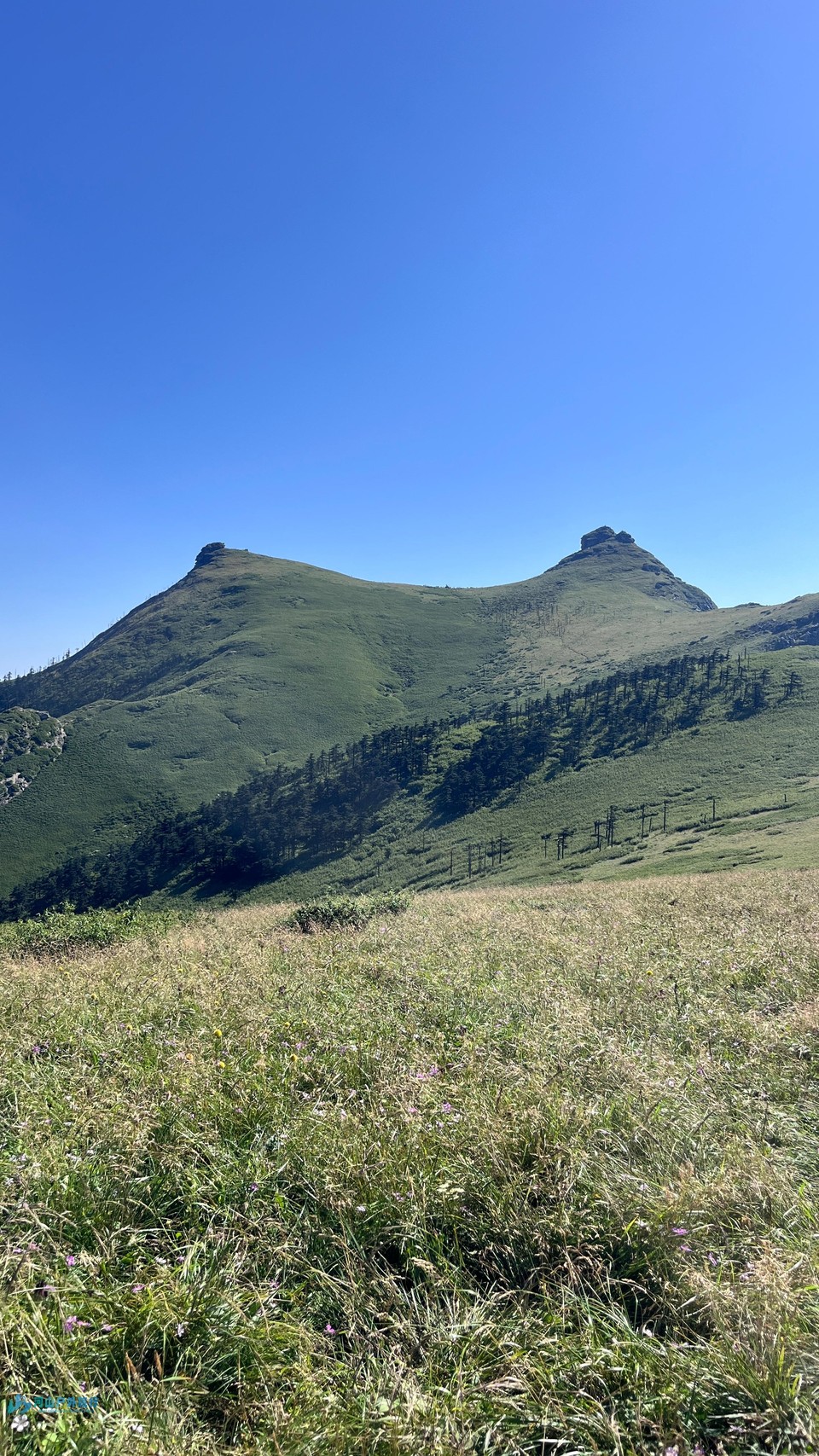 mmexport1722873457537