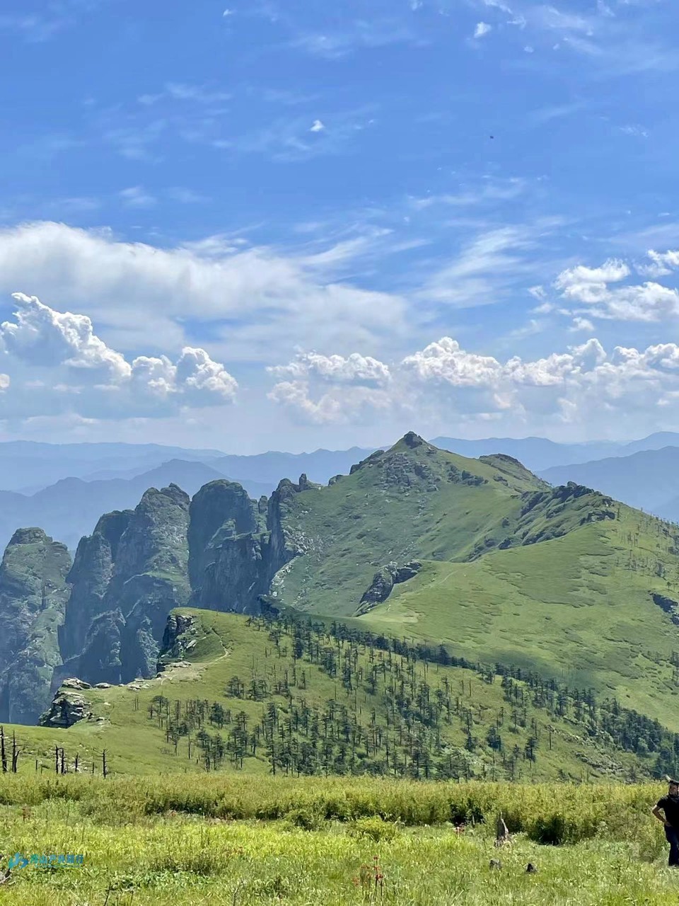 mmexport1722873833591