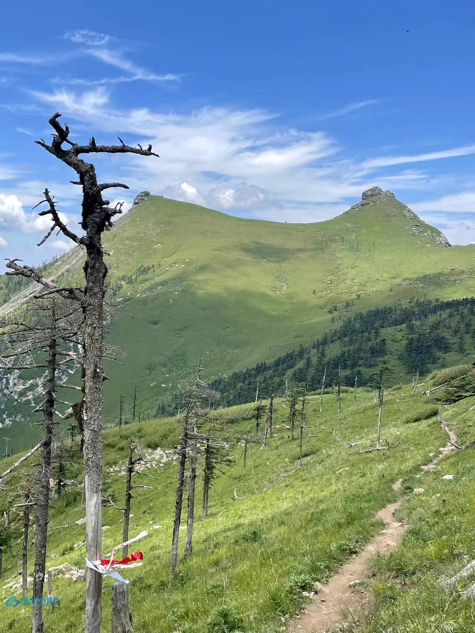 mmexport1722873841590