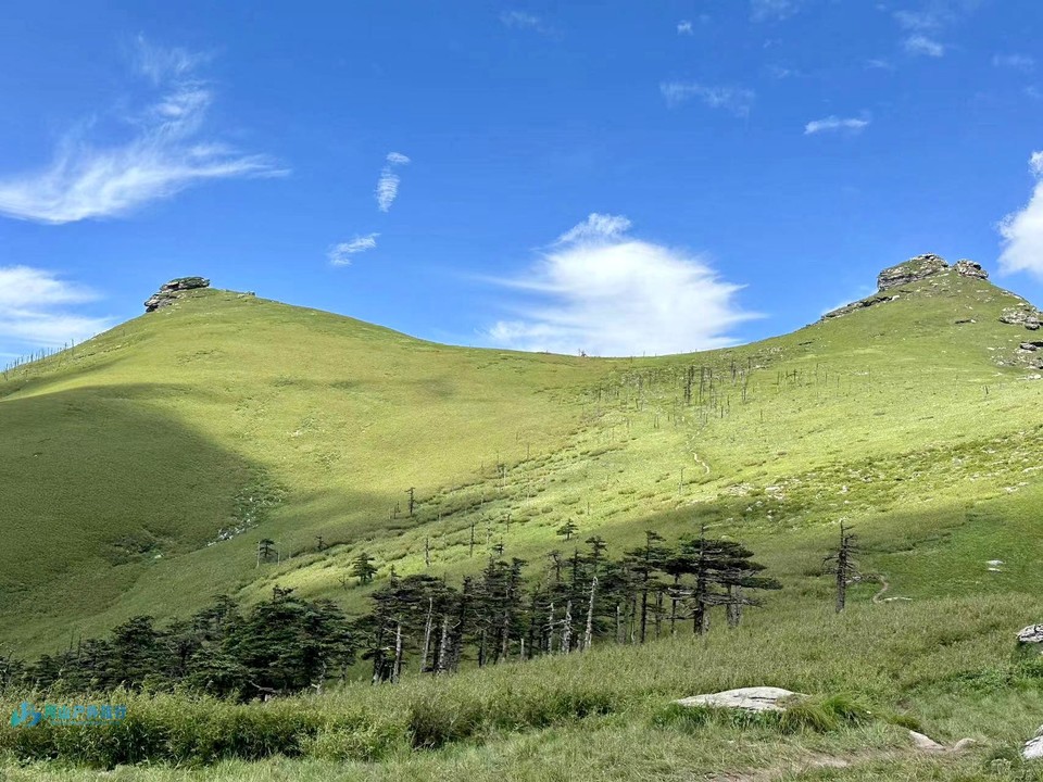 mmexport1722873845345