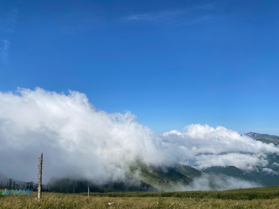 mmexport1722874049877