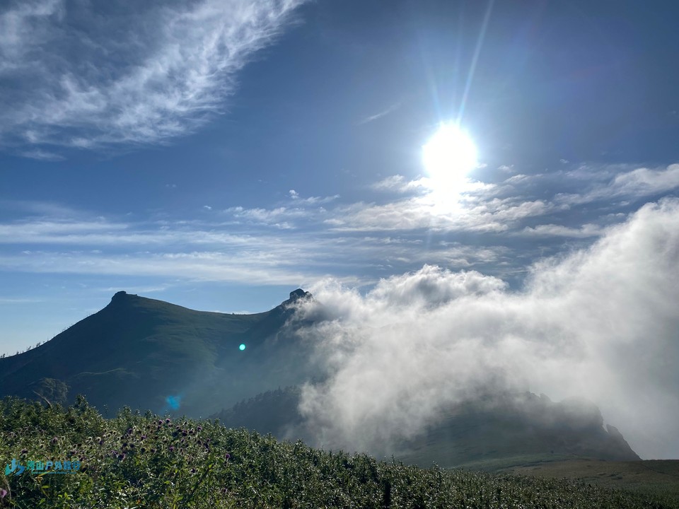 mmexport1722874079117