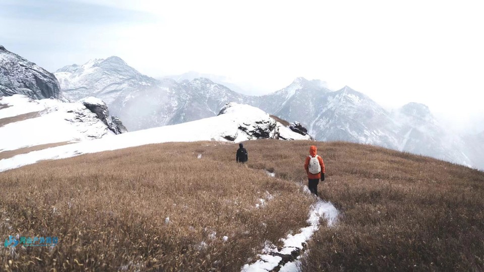 mmexport1707550120128