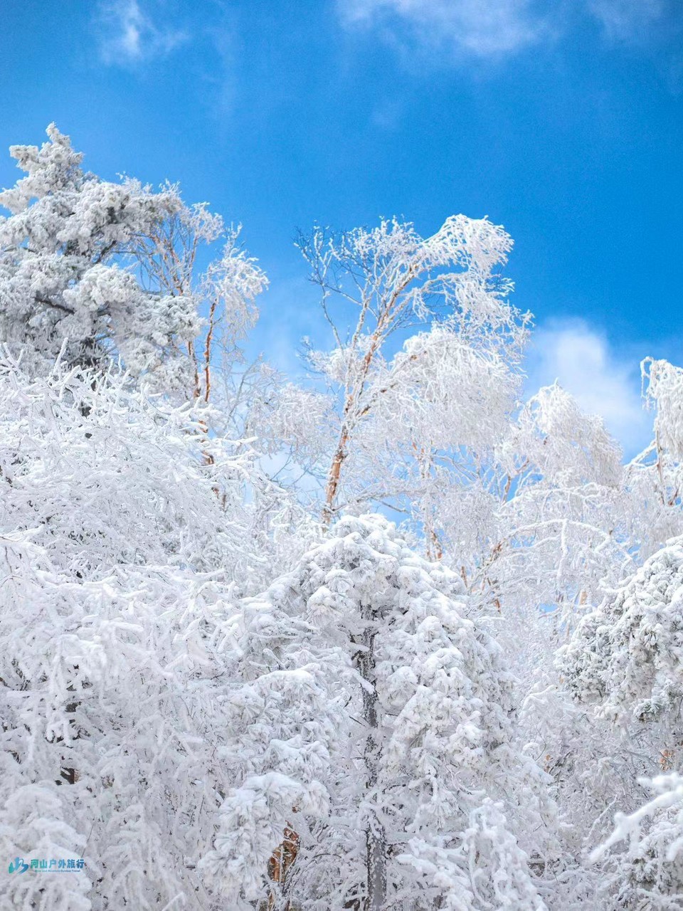 mmexport1709830339953