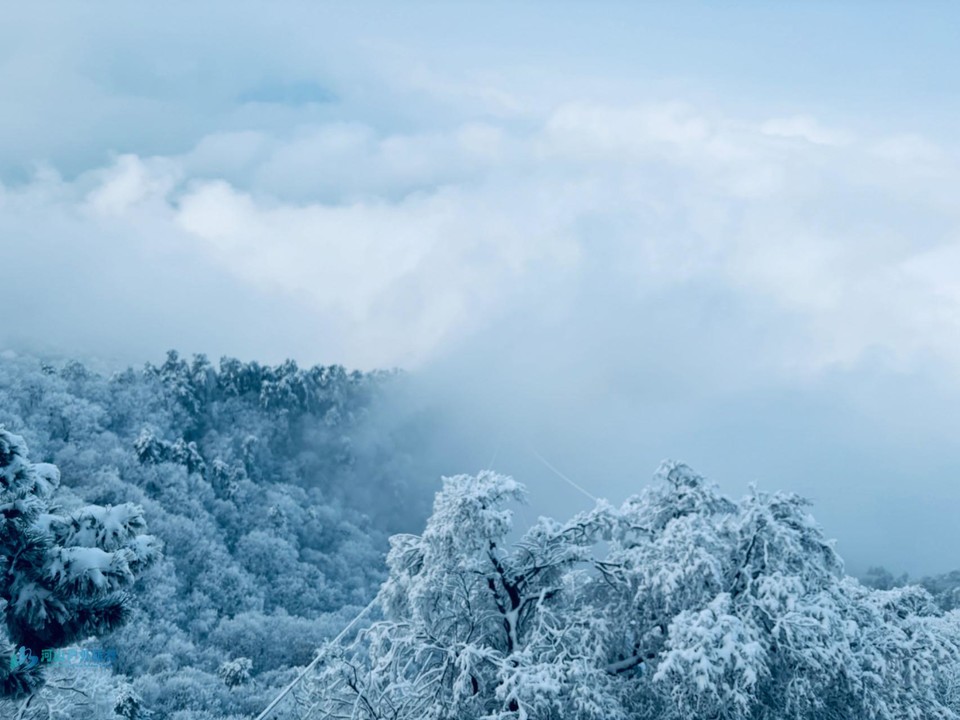 mmexport1709830379480