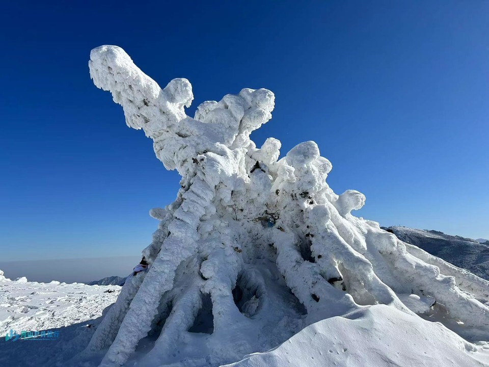 mmexport1709830474726