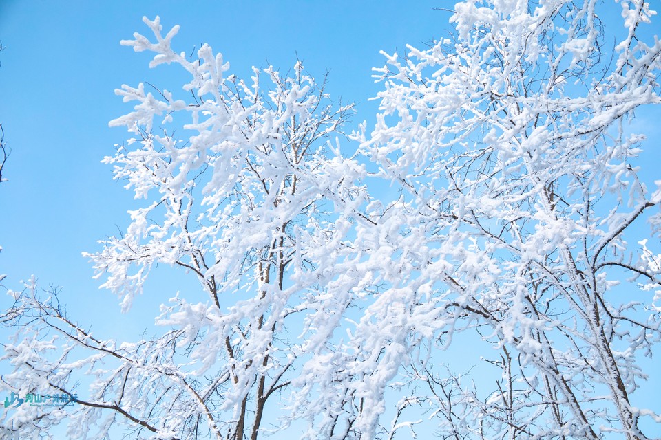 mmexport1709830362076