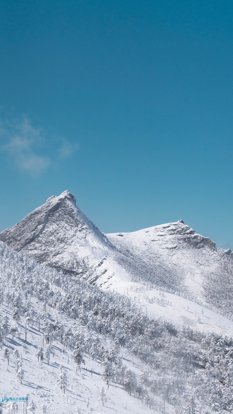 mmexport1709830506011