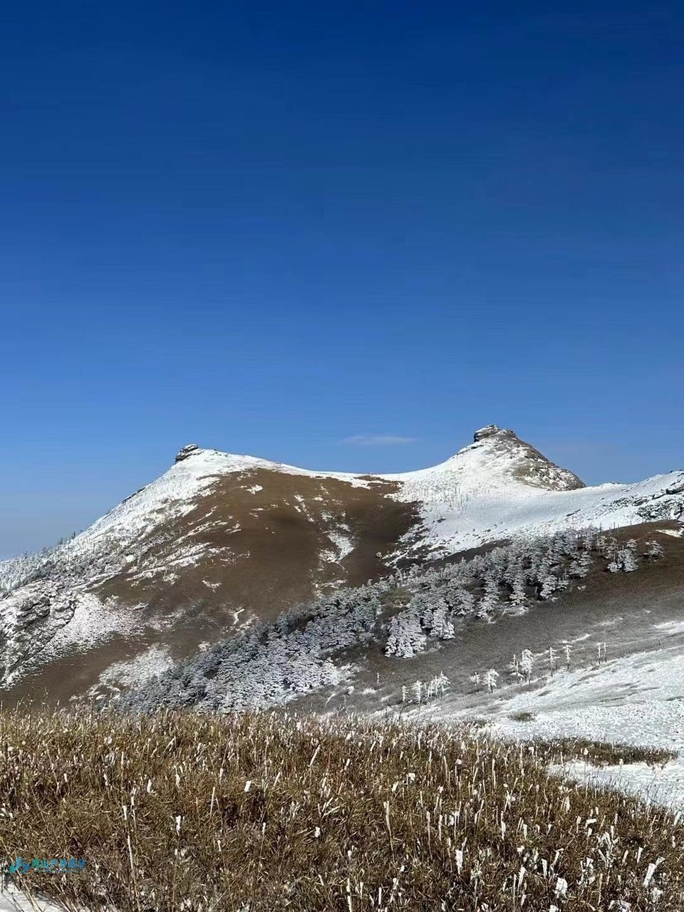 mmexport1715000595555