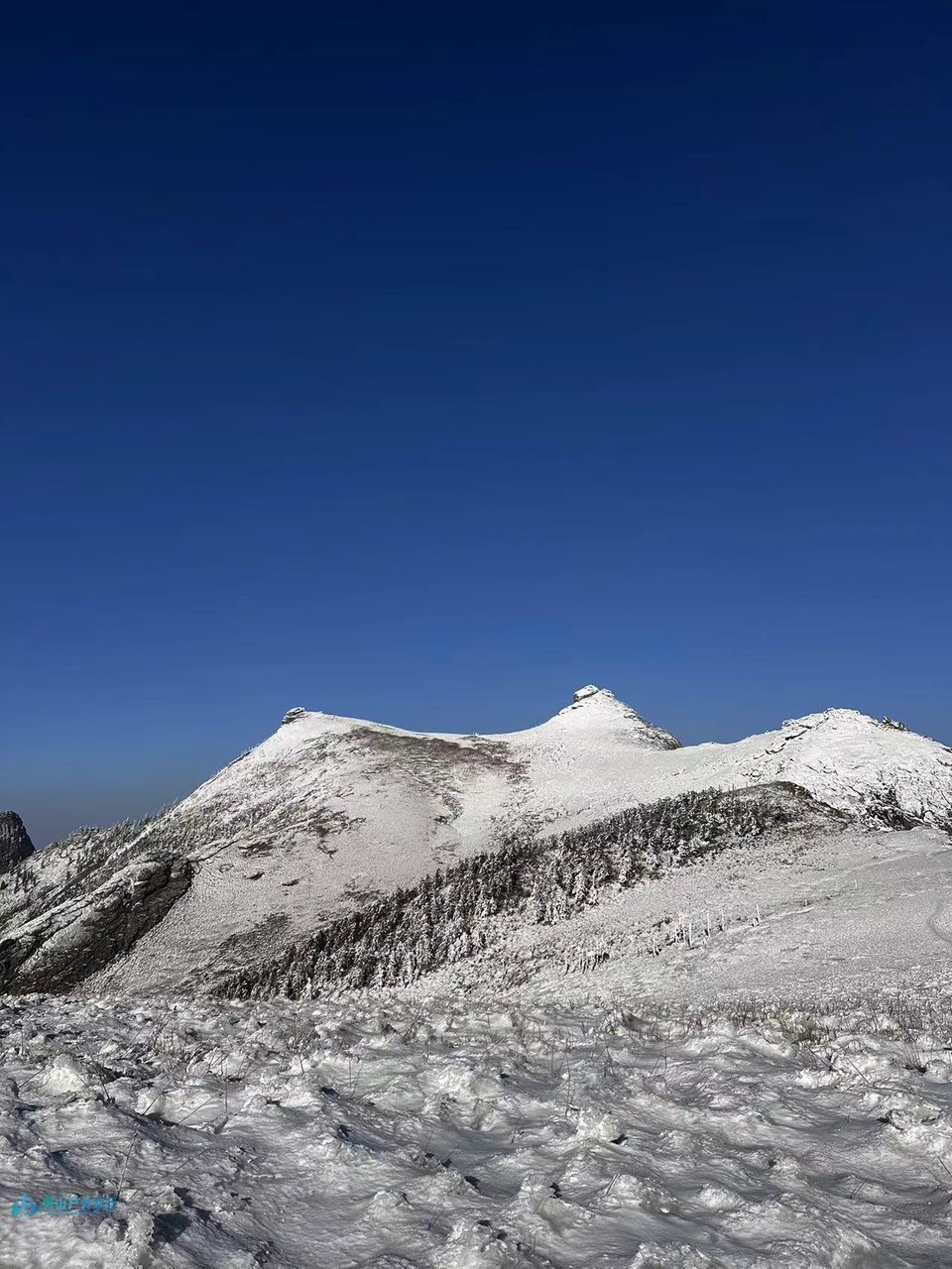 mmexport1715000599564